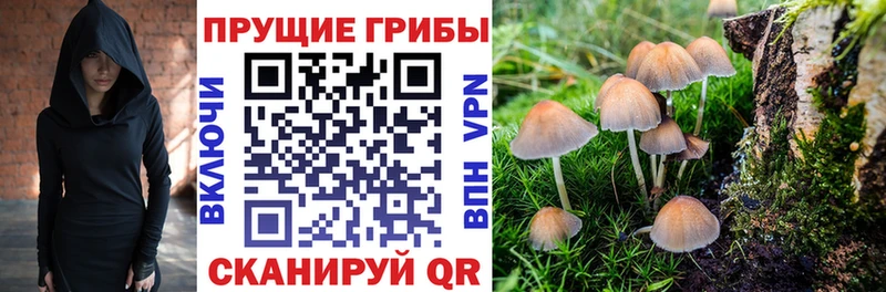 ОМГ ОМГ ССЫЛКА  Пионерский  Псилоцибиновые грибы ЛСД  купить закладку 