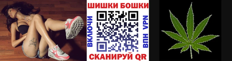 OMG как войти Пионерский Канабис SATIVA & INDICA